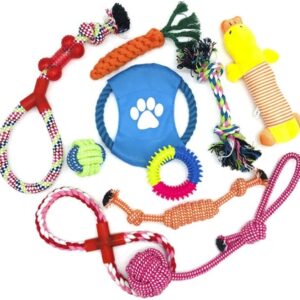Wefine Puppy Chew Toys