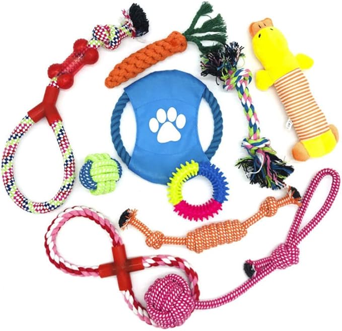 Wefine Puppy Chew Toys